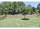 Spacious, well-maintained backyard with a decorative tree, iron fence, and lush greenery, perfect for outdoor enjoyment at 9541 Festival Way, Charlotte, NC 28215