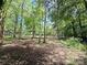 Picturesque backyard featuring mature trees, creating a serene and private outdoor retreat at 209 Falcon Dr, Concord, NC 28025