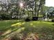 View of the grassy backyard featuring mature trees and a shed, offering privacy and space at 2411 Rebecca Ave, Charlotte, NC 28208