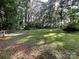 Expansive backyard featuring mature trees, lush greenery, and a newly installed wooden fence at 2411 Rebecca Ave, Charlotte, NC 28208