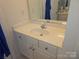 Bathroom featuring a white vanity and mirror at 4032 Wilgrove Way Dr # 252, Charlotte, NC 28213