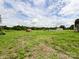 A wide, green yard features a small wooden structure, offering outdoor space and potential at 5321 State Line Rd, Marshville, NC 28103