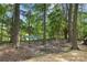 Secluded backyard featuring a fire pit and hammock, perfect for outdoor relaxation at 3100 Hickory Grove Dr, Monroe, NC 28110