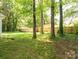 Grassy backyard with mature trees and a wood privacy fence at 5019 Poplar Glen Dr, Matthews, NC 28104