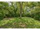 Lush green backyard with mature trees and greenery, offering a private outdoor space at 537 N Main St, Mooresville, NC 28115