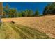 Sloped backyard with newly seeded yard at 10180 Lakeshore Dr, Lancaster, SC 29720