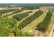 Scenic aerial view of the golf course, featuring lush greens and mature trees at 5208 Admirals Lndg, Lancaster, SC 29720