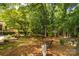 Secluded backyard featuring lush greenery, mature trees, and decorative yard art at 637 Freemont Dr, Lancaster, SC 29720
