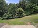View of lush green trees, grass and a concrete patio at 12415 Stratfield Place Cir, Pineville, NC 28134