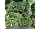 An aerial view of the home shows lush greenery and lake access at 143 Uwharrie Ct # 10801081, Mount Gilead, NC 27306
