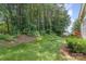 Scenic view of a lush backyard featuring a dense treeline and vibrant green grass at 14333 Maclauren Ln, Huntersville, NC 28078