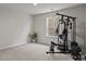 Finished basement with exercise machine and natural light at 169 Rooster Tail Ln, Troutman, NC 28166