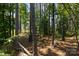 View of the wooded property line bordering the home, with mature trees and lush greenery for privacy at 169 Rooster Tail Ln, Troutman, NC 28166