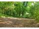 Extensive wooded backyard offering privacy and a natural, serene environment at 3519 Campbell Dr, Charlotte, NC 28205