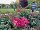 Community park entrance with vibrant flowers and a gazebo at 3717 English Garden Dr, Gastonia, NC 28056