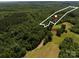 Explore this woodland property, outlined for clarity and featuring a marked residence nestled amongst mature trees at 3881 Wood Duck Ln, Denver, NC 28037