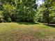 Large backyard surrounded by lots of mature trees at 3881 Wood Duck Ln, Denver, NC 28037