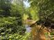 Discover a stream surrounded by dense, vibrant greenery, creating a picturesque, natural oasis at 3881 Wood Duck Ln, Denver, NC 28037