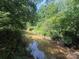 Explore this stream amidst verdant foliage, ideal for nature lovers and outdoor enthusiasts at 3881 Wood Duck Ln, Denver, NC 28037