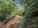 Creek on the property with good drainage and plenty of trees around it at 3881 Wood Duck Ln, Denver, NC 28037