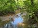 Another image of the creek running through the property with lots of trees around it at 3881 Wood Duck Ln, Denver, NC 28037