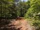 Dirt driveway leading through wooded area at 3881 Wood Duck Ln, Denver, NC 28037