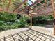 Open deck with a pergola and fan, perfect for enjoying outdoor living and entertaining at 14307 Hartwell Farm Dr, Charlotte, NC 28278