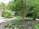 Lush backyard with mature trees and greenery, creating a serene and private outdoor space at 14307 Hartwell Farm Dr, Charlotte, NC 28278