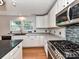 Stylish kitchen with sleek appliances, ample counter space, and bright natural light at 14307 Hartwell Farm Dr, Charlotte, NC 28278