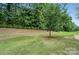 Lush green backyard featuring a young tree surrounded by a mulch bed and manicured lawn at 3029 Marchers Trace Dr, Charlotte, NC 28227