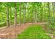 Beautiful, secluded backyard with lush greenery, providing privacy and a connection with nature at 3874 Willow Grove Ln, Concord, NC 28025