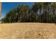Large backyard with newly laid straw, offering plenty of space for outdoor activities at 5244 Admirals Lndg, Lancaster, SC 29720