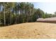 Large backyard with newly laid straw, surrounded by mature trees and a privacy fence at 5244 Admirals Lndg, Lancaster, SC 29720