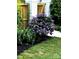 Lush garden with purple flowers, green foliage, and a well-maintained lawn at 802 E Franklin St, Monroe, NC 28112