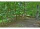 This backyard features mature trees and landscaping, offering a tranquil and private outdoor space at 1419 Jules Ct, Charlotte, NC 28226