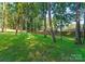 Spacious backyard with mature trees and a wooden fence, perfect for outdoor activities at 1622 Burtonwood Cir, Charlotte, NC 28212