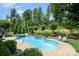Backyard swimming pool with a jacuzzi, lounge chairs, and lush landscaping at 183 Canoe Pole Ln, Mooresville, NC 28117