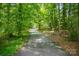 Long paved driveway winding through a lush green forest with sunlight peeking through at 6811 Kluttz Rd, Concord, NC 28025
