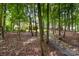 Spacious backyard featuring a stone walkway, mature trees, and lush greenery, perfect for nature lovers at 11624 Crossroads Pl, Concord, NC 28025