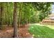 Manicured backyard featuring a deck and a lush wooded area at 11624 Crossroads Pl, Concord, NC 28025