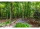 Secluded backyard oasis with natural landscaping, stone path, and mature trees for privacy at 11624 Crossroads Pl, Concord, NC 28025