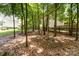 Beautiful backyard featuring a swing set and wooded area, perfect for outdoor activities at 11624 Crossroads Pl, Concord, NC 28025