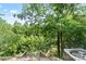 A view of a lush green forest and blue sky at 1420 11Th Street Nw Dr # 15, Hickory, NC 28601