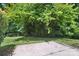 Backyard featuring green trees at 2239 Blue Hampton Ln, Charlotte, NC 28213