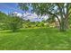 Expansive grassy yard with mature trees providing shade, and a glimpse of the charming neighborhood beyond at 3729 Woodleaf Rd, Charlotte, NC 28205