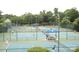 Well-maintained tennis courts surrounded by mature trees at 15009 Fanning Manor Ct, Charlotte, NC 28277