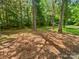 Natural backyard featuring mature trees, lush greenery, and open space at 424 Mallard Dr, Pineville, NC 28134