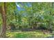 Lush backyard featuring a wooded perimeter fence and two lounge chairs at 7217 Rena Mae Ln, Charlotte, NC 28227