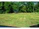 Lush backyard with a trampoline and expansive green space, perfect for outdoor activities at 205 Spring Creek Dr, Mount Holly, NC 28120