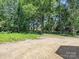View of the surrounding nature, with various shades of green visible in the trees, on a sunny day at 501 E Cj Thomas Rd # 1, Monroe, NC 28110